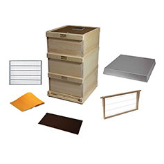 Starter - SETS