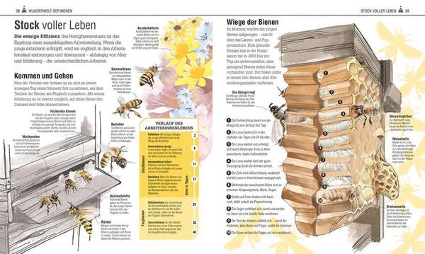 Das Bienenbuch
