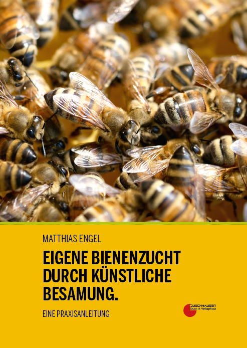 Eigene Bienenzucht durch künstliche Besamung