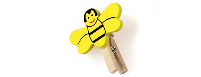 Holz Bienen Klammern
