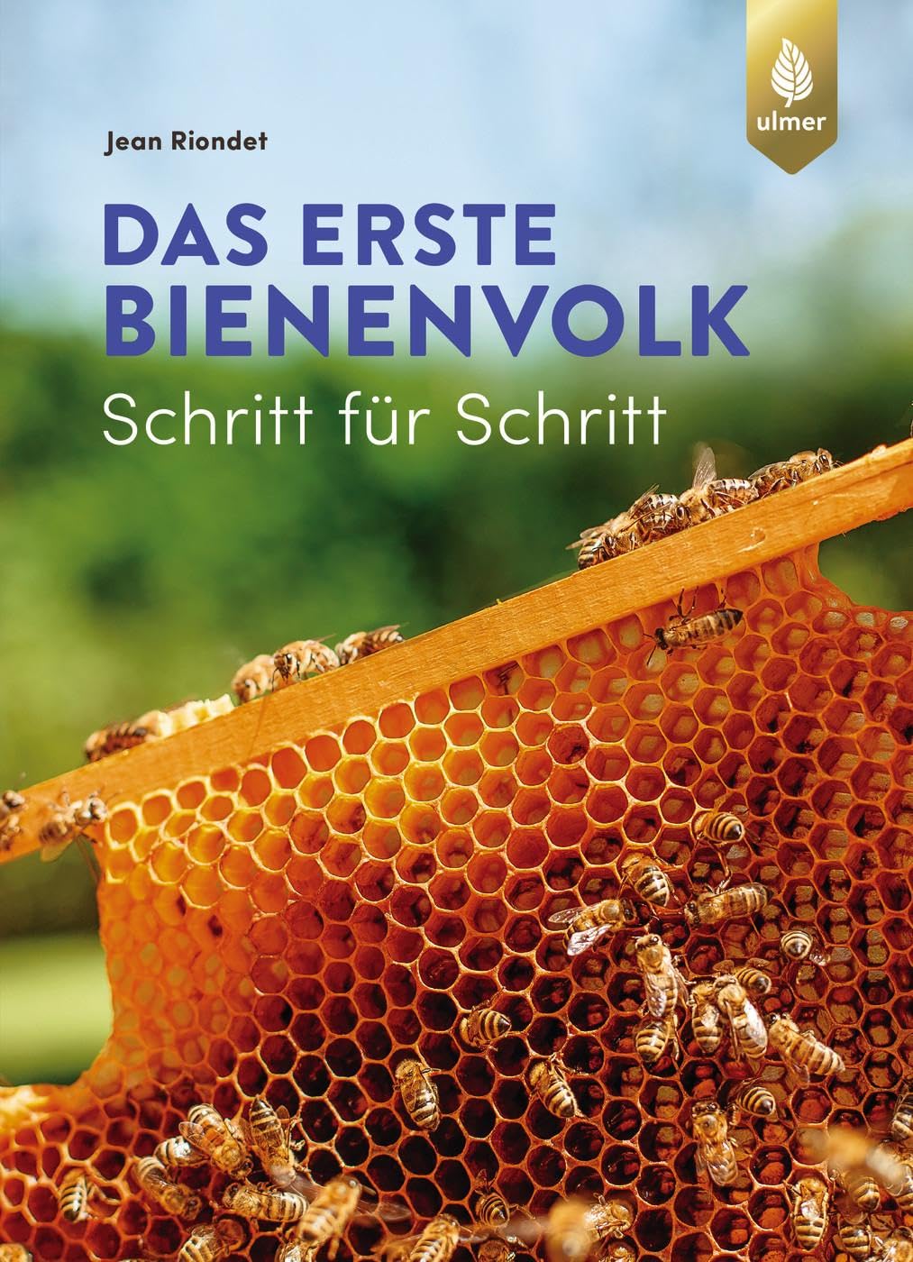 Das erste Bienenvolk-Schritt für Schritt