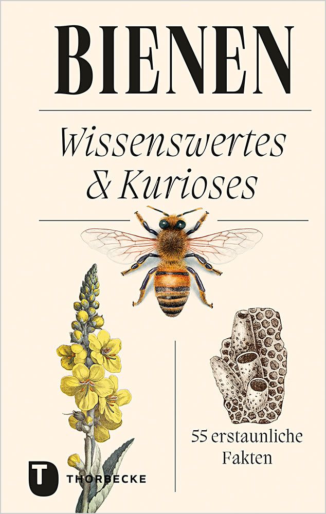 Bienen- Wissenswertes & Kurioses