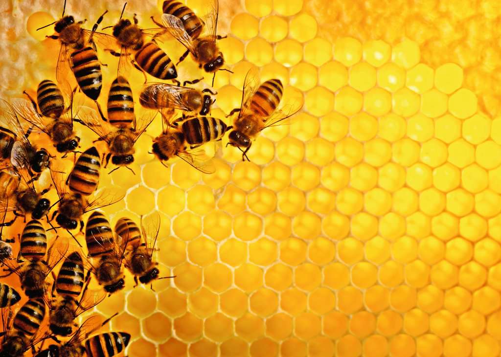 Ravensburger Puzzle "Bienen"