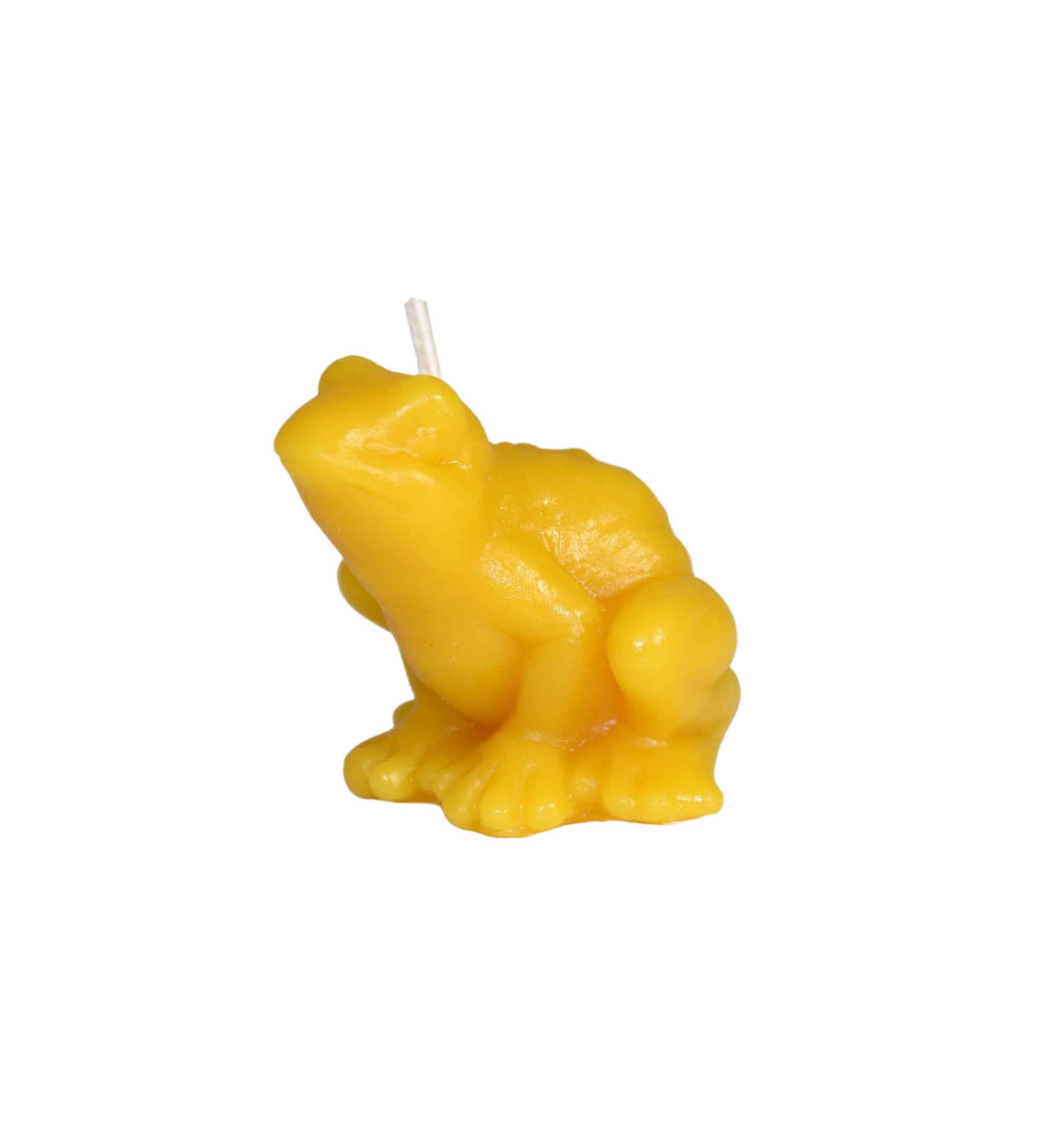 Gießform Frosch